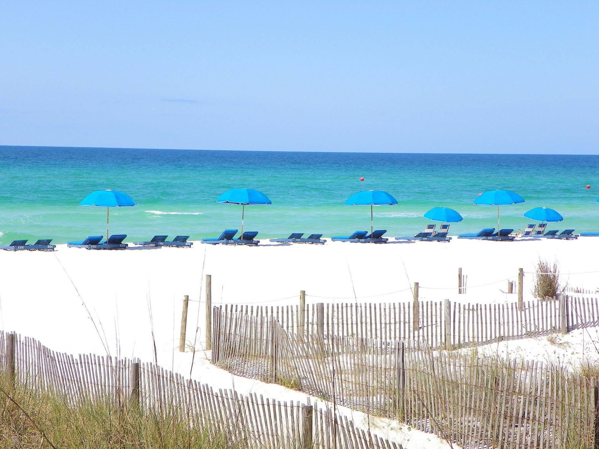The Driftwood Panama City Beach